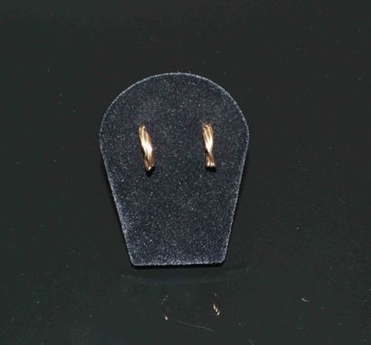 PAIRE DE CREOLES trois ors

Poids 0,9 g