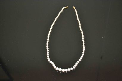 COLLIER en perles de culture en chute 0,3...