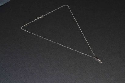 COLLIER et son PENDENTIF en or gris et diamant

Poids...