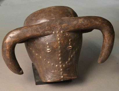 Tête de taureau

H: 33 cm