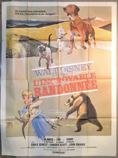 L'incroyable randonnée

158x116