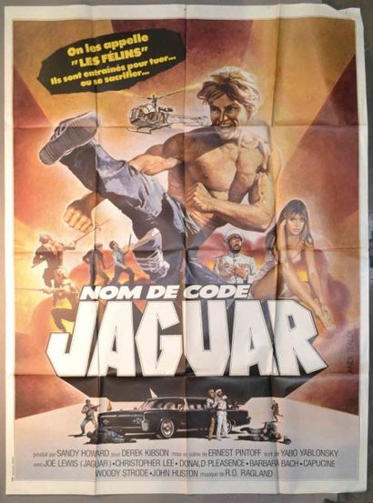 Nom de Code Jaguar

158x116