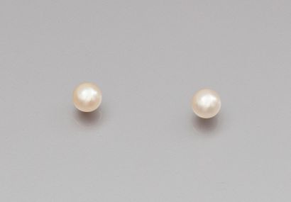 Paire de boutons díoreilles en or jaune 750...