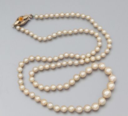 Collier de perles de culture en chute, fermoir...