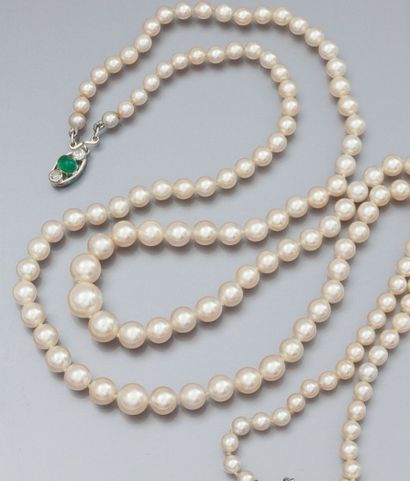 Collier deux rangs de perles de culture en...