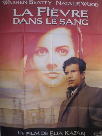 LA FIEVRE DANS LE SANG (1961) de Elia Kazan...