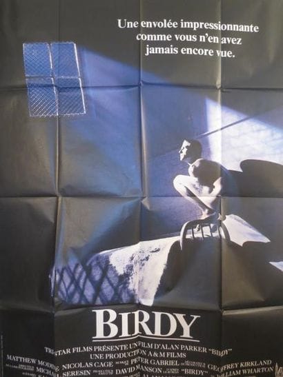 BIRDY (1984) de Alan Parker avec Matthew...