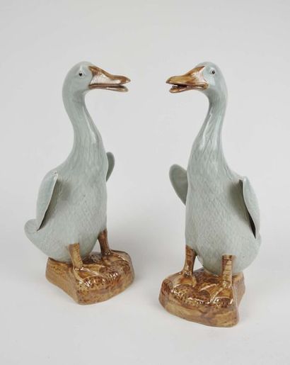Paire de canards en porcelaine polychrome...