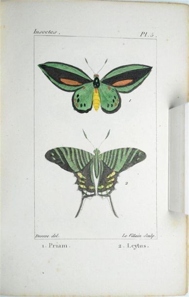 INSECTES - [BOITARD (Pierre)] Atlas de Insectes...