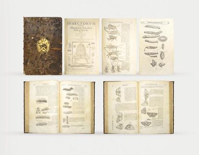 Reliure aux Armes MOFFETT(Thomas) - WOTTON...