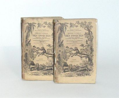 BLANCHARD (Charles Émile) Histoire Naturelle...