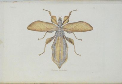 BLANCHARD (Charles Émile) Histoire Naturelle...
