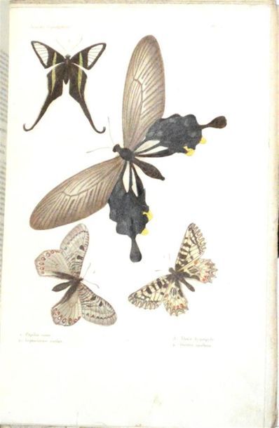 BLANCHARD (Charles Émile) Histoire Naturelle...
