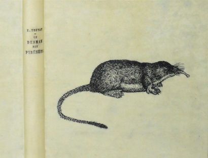 TRUTAT (Eugène) Essai sur l'Histoire naturelle...