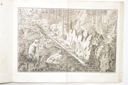Un des XX livres pyrénéistes les plus rares...