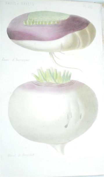 HEUZÉ (Gustave) Cours d'Agriculture pratique....