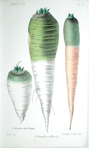 HEUZÉ (Gustave) Cours d'Agriculture pratique....