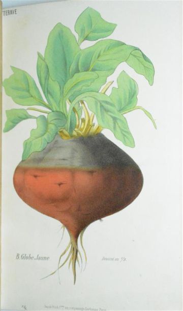 HEUZÉ (Gustave) Cours d'Agriculture pratique....