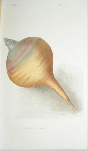 HEUZÉ (Gustave) Cours d'Agriculture pratique....