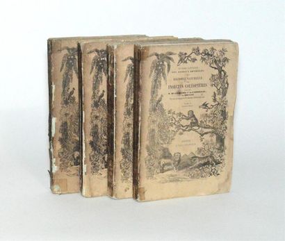 CASTELNAU (François Louis NOMPAR de CAUMONT...