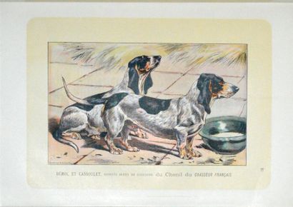 MAHLER (Paul) Les Chiens de Chasse et la...