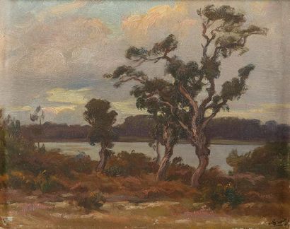 Marius GUEIT (1877-1956)
« Bord d'étang »
Huile...