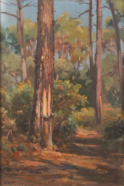 Marius GUEIT (1877-1956)
« Etude de pins...