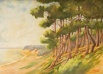 Fernand CASTEX
« Vue du Bassin d'Arcachon...