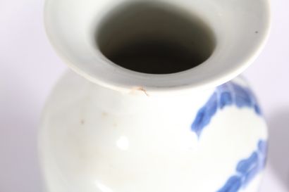 Paire de vases en porcelaine bleu blanc à...
