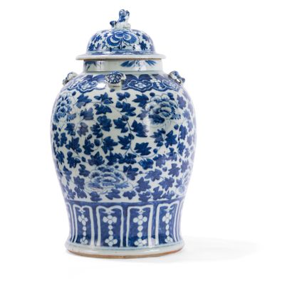 Paire de vases couverts en porcelaine bleu...
