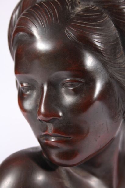 Buste de femme en bronze patiné

Vietnam,...