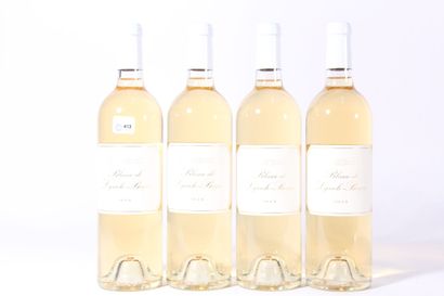 2018 - White Lynch Bages
White Bordeaux -...