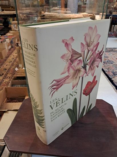 The vellum of the Museum National d'Histoire...