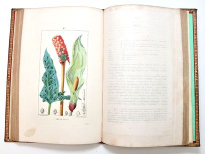 Signed by General Bernadotte
CHAUMETON (François...