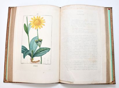 Signed by General Bernadotte
CHAUMETON (François...