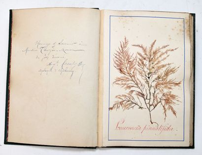 [ALBUM PHYCOLOGIE - ALGUES]
Beautiful album...