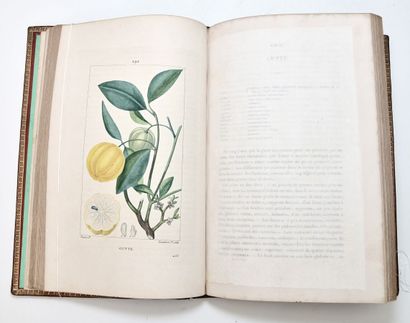 Signed by General Bernadotte
CHAUMETON (François...