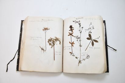 [HERBIER]
Herbarium collected by M. de LaA1385le...
