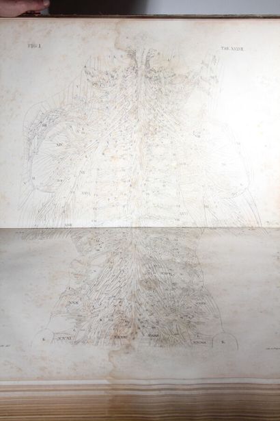 ANTOMMARCHI (Francesco)
Explanation des planches...