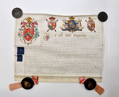 Parchment
[HERALDIAN - CERTIFICATE OF NOBILITY]
Diploma...