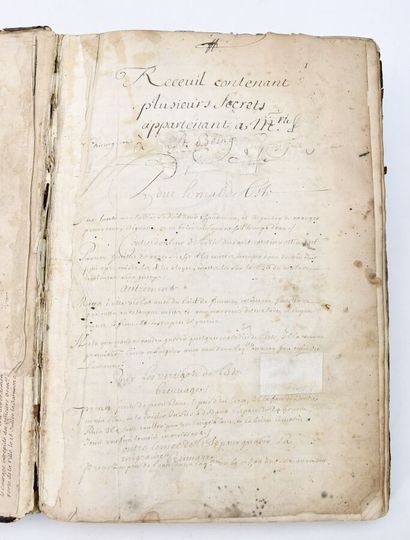 Apothecary Manuscript - Alchemy
RECUEIL POTIONS...