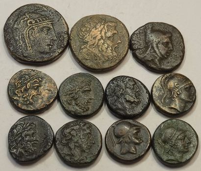 Bridge. Lot of 11 bronzes: Amisos (9), Pharnacia...