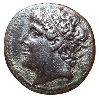 Syracuse. Hieron II. 275-215 B.C. AE28. A/...
