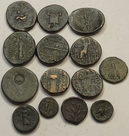 Seleucia and Pierie. Lot of 14 bronzes: Antioch,...