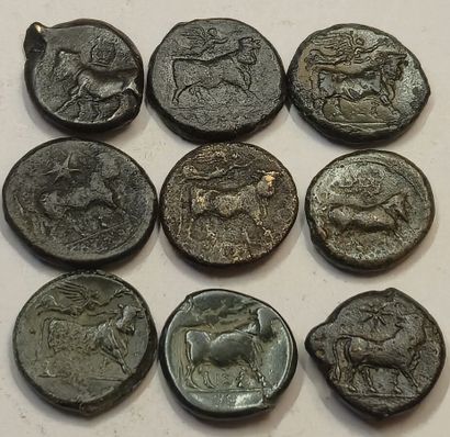 Italy. Lot of 9 bronzes for Campania, Neapolis....