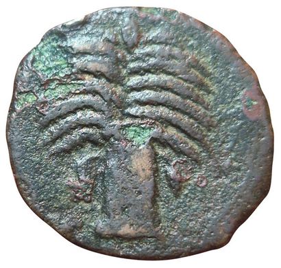 Set of 2 bronzes: 
- Shekel. A/ Palm tree...