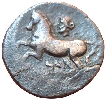 Eastern Massyles. Massinissa or Micipsa....