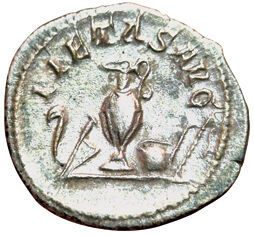 Maximus. 238. Denarius. R/ PIETAS AVG. Sacrificial...