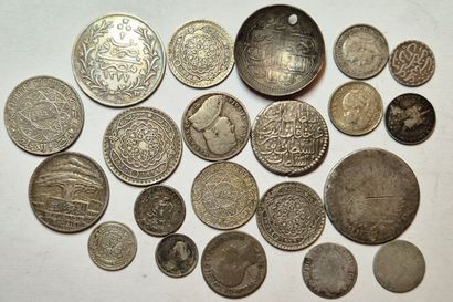 Lot argent: 21 monnaies du monde diverses....