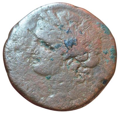 15 Shekels (AE). Circa 201-175 B.C. A/ Head...